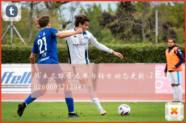 AC米兰球员名单与转会动态更新_20260605212943