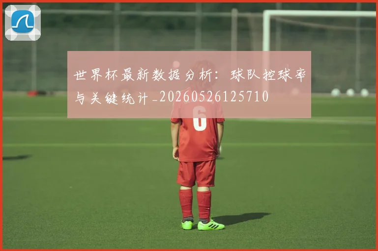 世界杯最新数据分析:球队控球率与关键统计_20260526125710