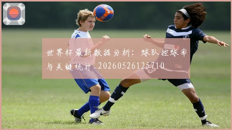 世界杯最新数据分析:球队控球率与关键统计_20260526125710